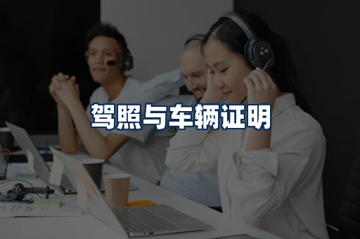 车辆证明展示